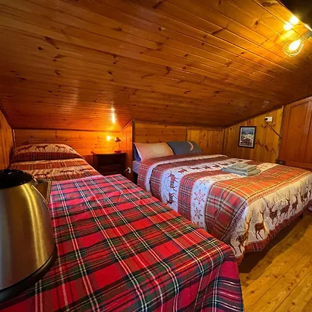 La Tana Dell'orso 2 Διαμέρισμα *